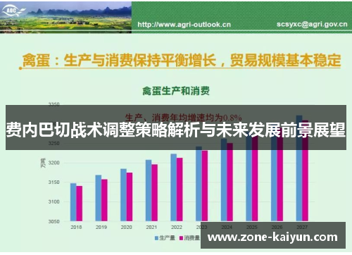费内巴切战术调整策略解析与未来发展前景展望