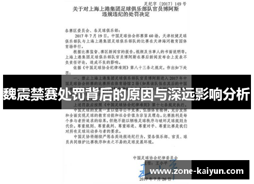 魏震禁赛处罚背后的原因与深远影响分析