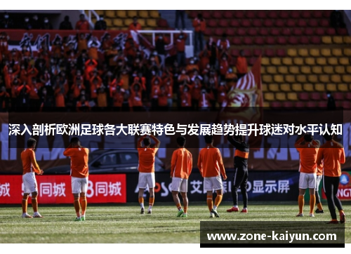 深入剖析欧洲足球各大联赛特色与发展趋势提升球迷对水平认知