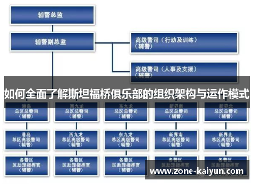 如何全面了解斯坦福桥俱乐部的组织架构与运作模式